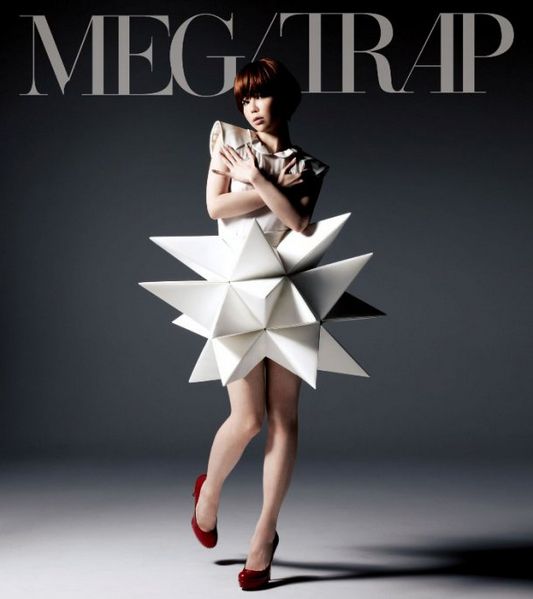 File:TRAPLIM.jpg