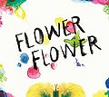 FLOWER FLOWER - Mi DVD.jpg