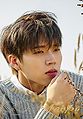 Infinite - For You Woo Hyun reg.jpg