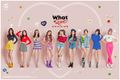 TWICE - What is Love promo2.jpg