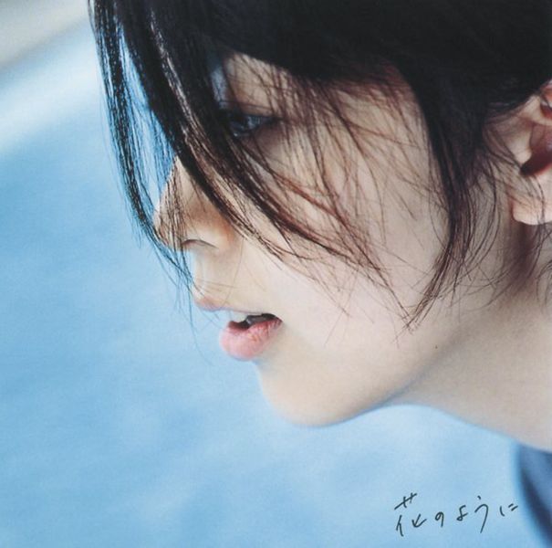 File:matsutakakohananoyouni.jpg