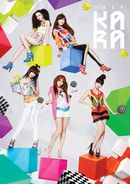 20110830 kara step5.jpg