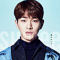 Onew Version