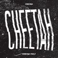 Cheetah - CHEETAH ITSELF.jpg