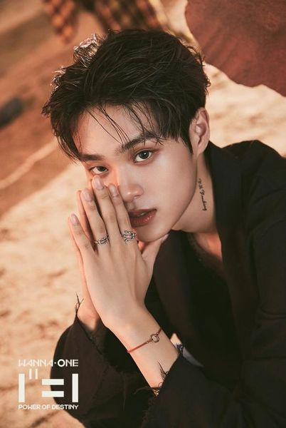 File:Lee Dae Hwi - POWER OF DESTINY promo.jpg