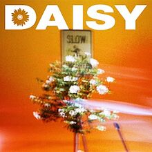 Daisy (Mirani) - generasia