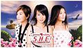 Thumbnail for version as of 03:15, 14 November 2010