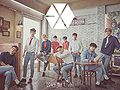 EXO - Love Me Right ~romantic universe~.jpg