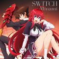 Minami - Switch (Regular Edition).jpg