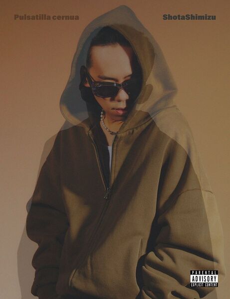 File:Pulsatilla cernua CD Photobook.jpg