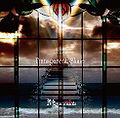 Megaromania - Transparent Shine A.jpg