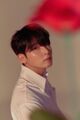 Ryeowook - A Wild Rose promo.jpg