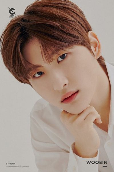 File:Woobin.jpg