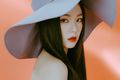 Irene - Monster promo.jpg