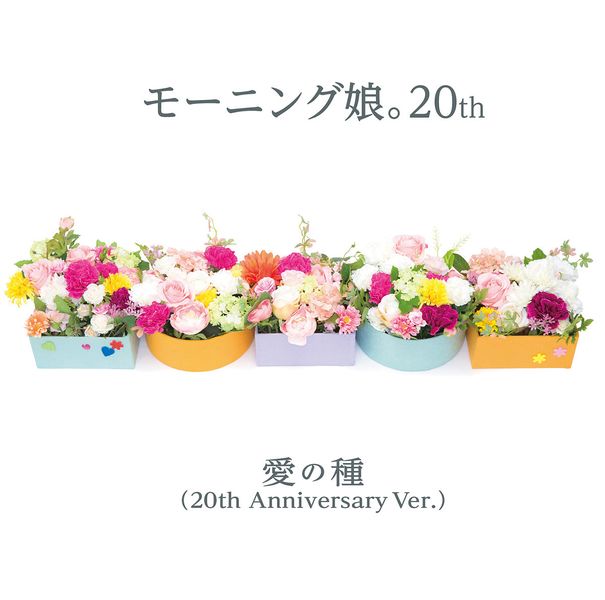File:Morning Musume - Ai no Tane (20th Anniversary ver.).jpg
