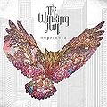 The Winking Owl - Supernova.jpg