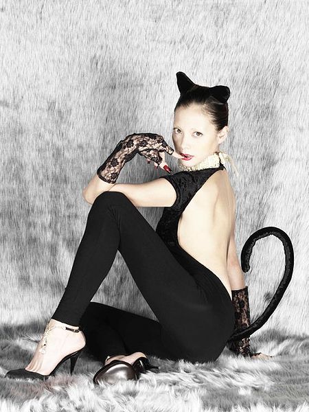 File:Virgincatpromo1.jpg