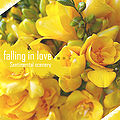 Falling In Love.jpg
