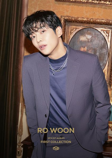 File:Rowoon - FIRST COLLECTION promo.jpg