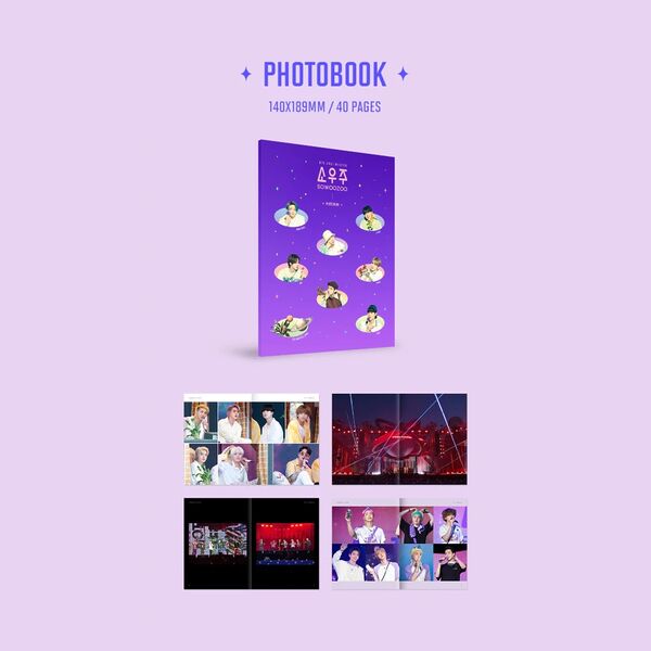 File:BTS Muster Sowozoo B1.jpg