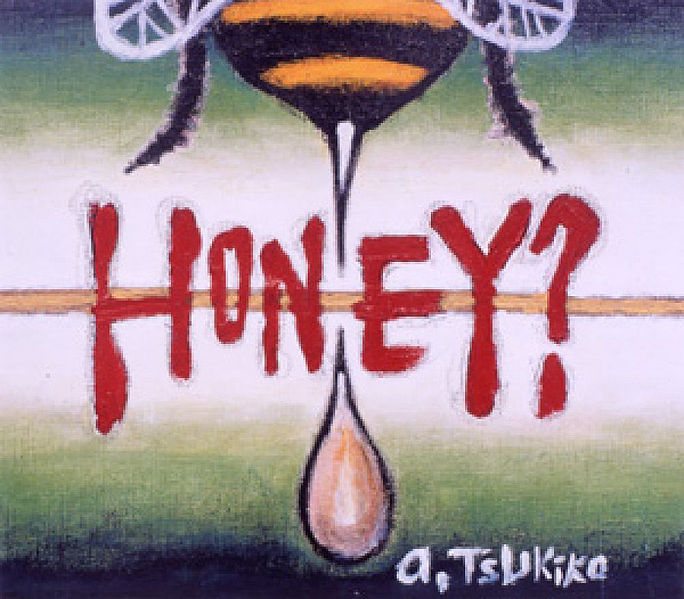 File:Amano Tsukiko - HONEY.jpg