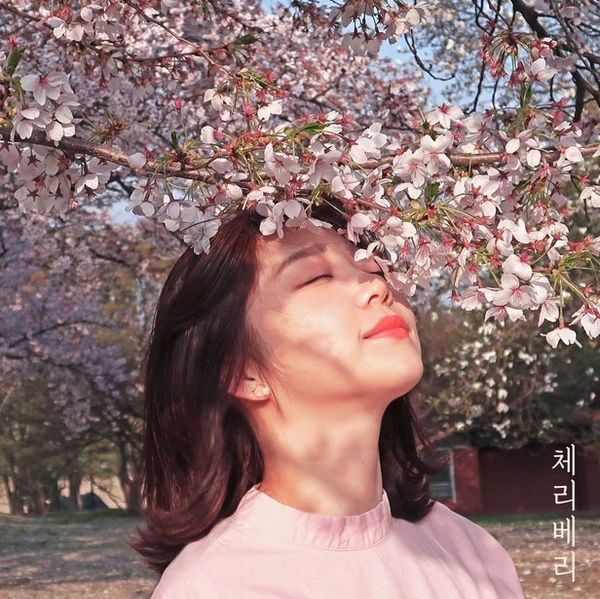 File:CherryBerry - Naui Isanghyeong.jpg