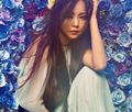 Namie Amuro - Finally (3CD Edition).jpg