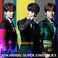 SJ KRY - JOIN HANDS ELF.jpg