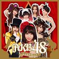 AKB48 - Koko ni Ita Koto reg.jpg