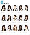 NMB48 Team BII 2016.jpg