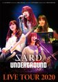 SARD UNDERGROUND LIVE TOUR 2020.jpg