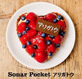 Sonar Pocket - Arigatou.jpg