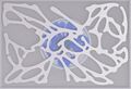 Thumbnail for version as of 16:56, 22 August 2023