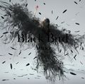 Aimer - Black Bird／Tiny Dancers／Omoide wa Kirei de (Regular CD Only Edition).jpg