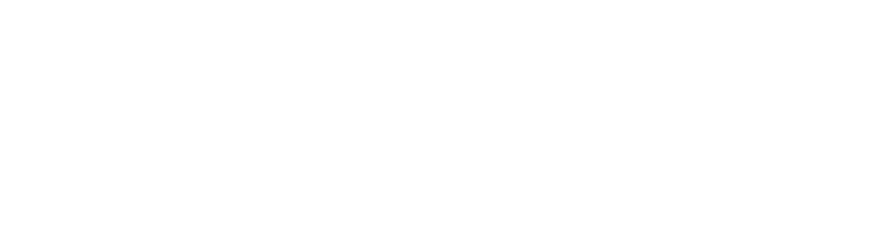 File:VV logo.png