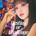 Heeo - Destiny or Challenge.jpg