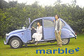 Thumbnail for version as of 10:07, 8 July 2009
