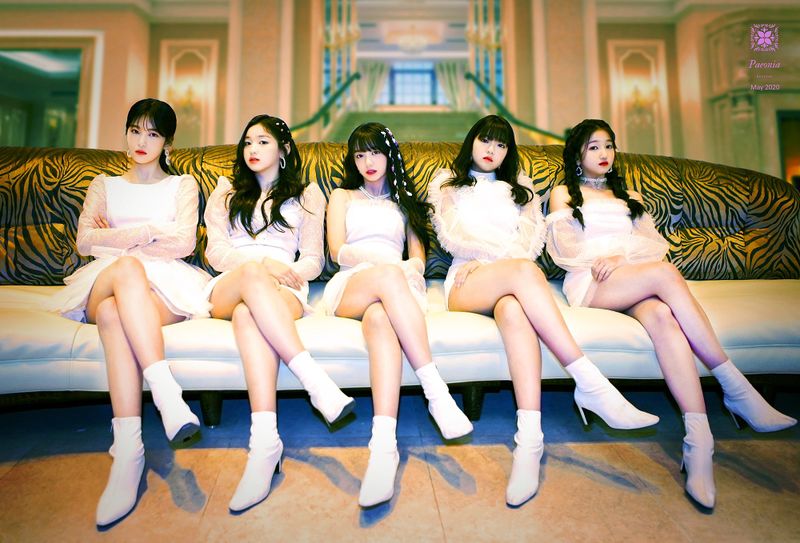File:BUSTERS - Paeonia promo.jpg