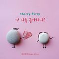CherryBerry - Neon Nareul Johahani.jpg
