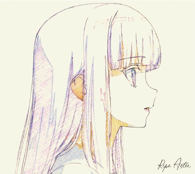 File:Yagi Kairi - Ripe Aster.jpg