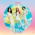 VIVIZ - Summer Vibe.jpg