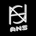 ANS logo.jpg