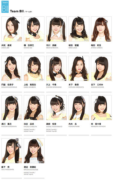 File:NMB48teambii2014.jpg