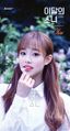 Chuu LOONA yyxy Beauty and The Beat promo.jpg