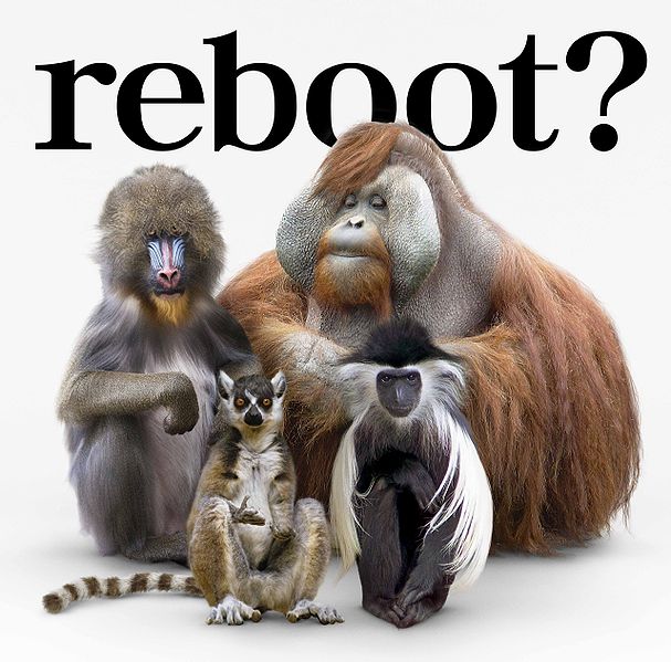 File:REBOOTFlumpoolCD.jpg