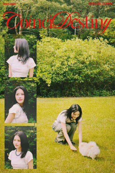 File:Rina - CoinciDestiny promo.jpg