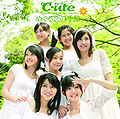 Spring (Limited Edition)