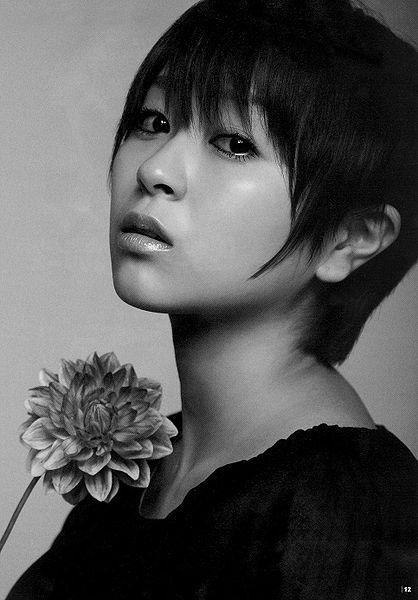 File:CDDATA2008 (1).jpg