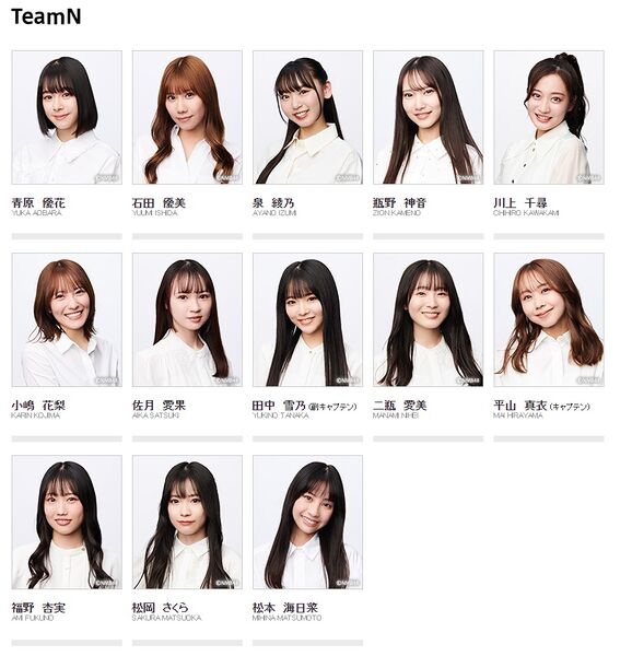 File:NMB48 Team N 2024.jpg