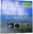 Chicago Poodle Choi Chouki CD.jpg